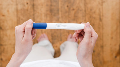 Cycles menstruels courts et fertilité : quelles conséquences ?