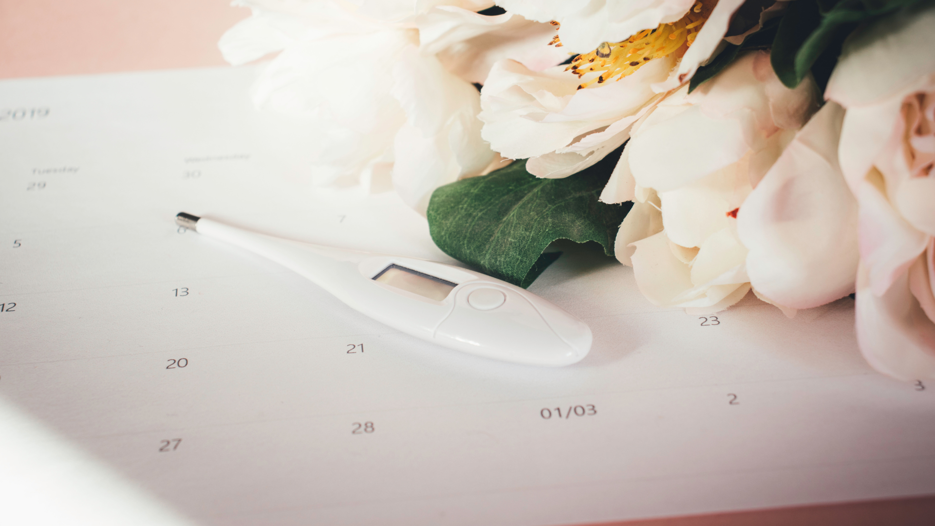 Tout savoir sur la symptothermie, cette méthode de contraception naturelle fiable
